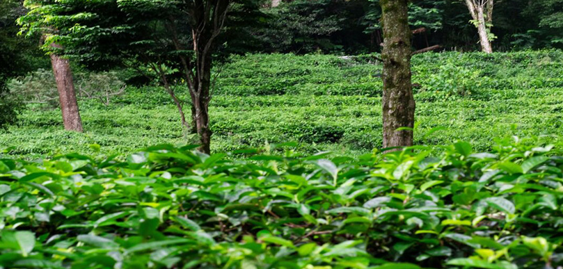 ETG secures inaugural USD 115m sustainability-linked revolving credit facility