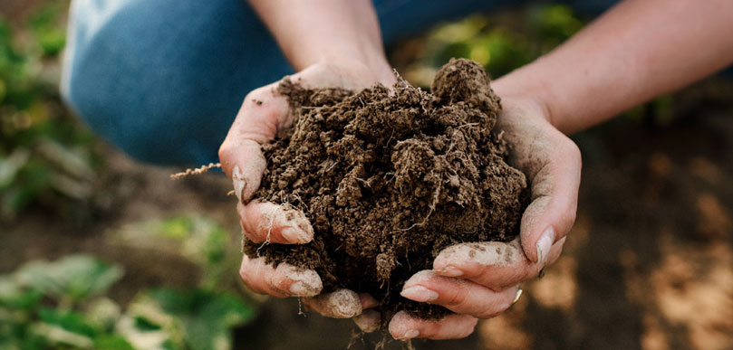 AGRI3 Fund features in Financing for Regenerative Agriculture Report by The Rockefeller Foundation, Transformational investing in food systems and Pollination